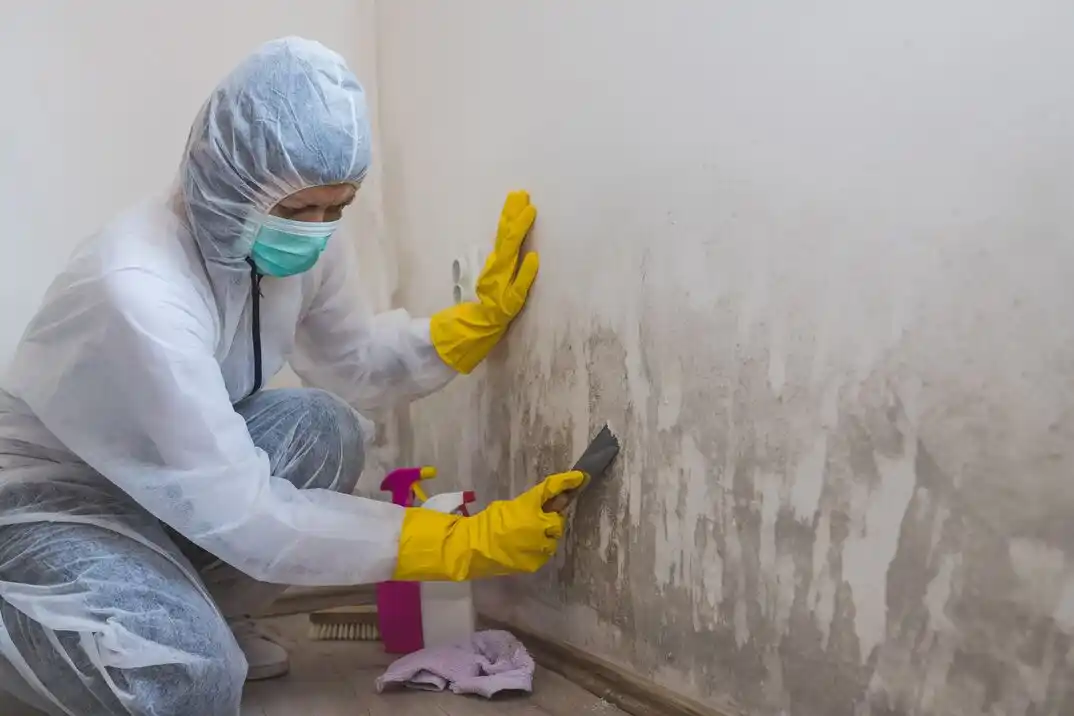 water damage restoration service South Fork